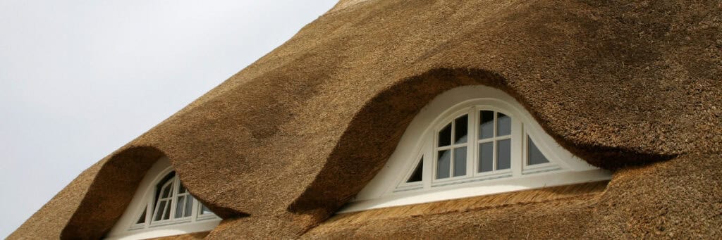 Complete Guide To Thatched