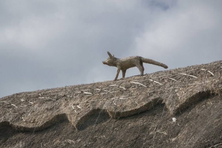 A close-up of a thatched roof protected with wire mesh, featuring a decorative fox figure made from thatch standing along the roof ridge beneath a cloudy sky.