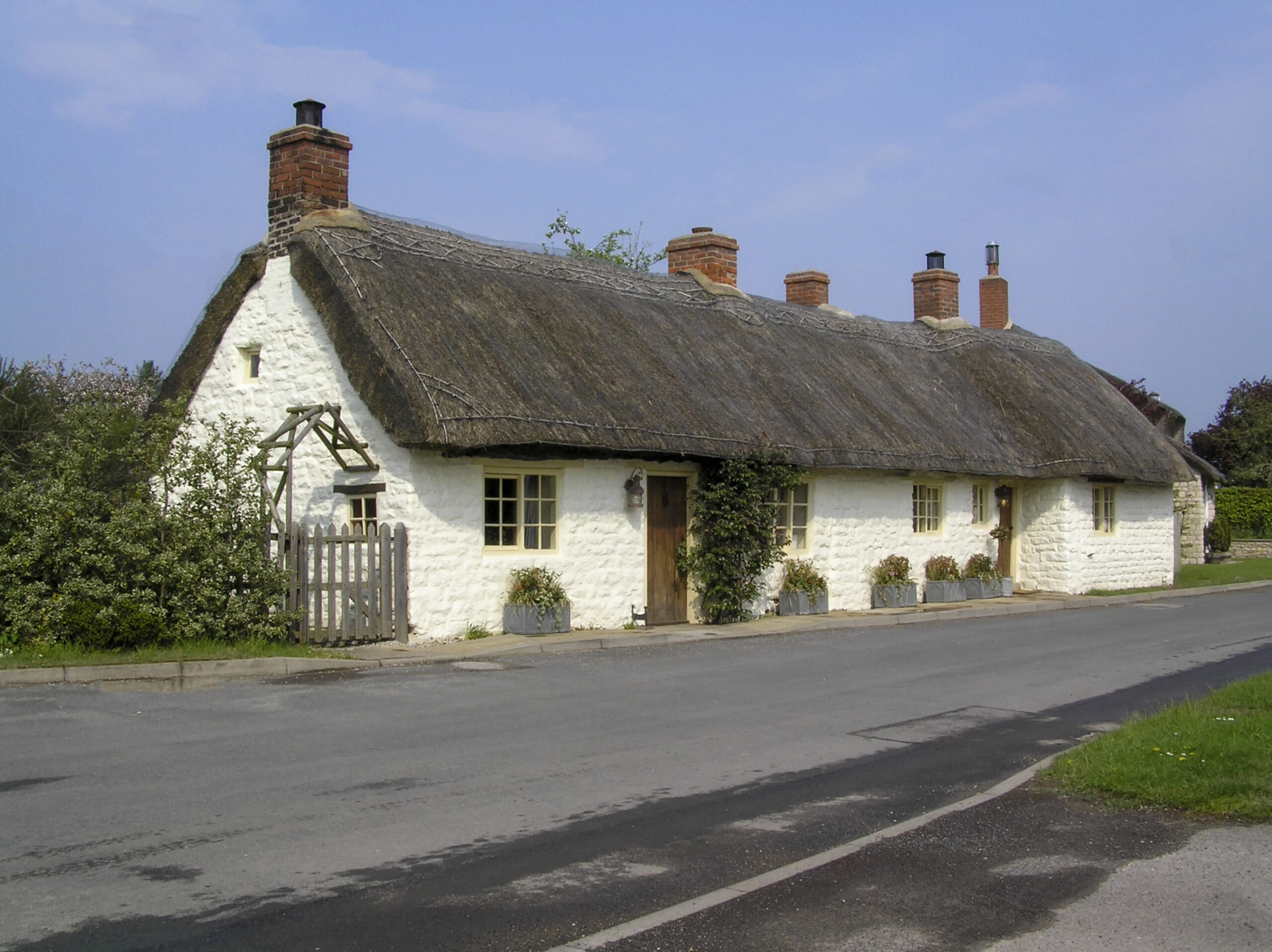 Thatched roof home